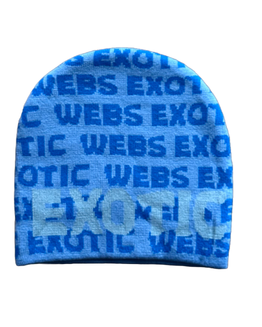 Blue Exotic Beanie